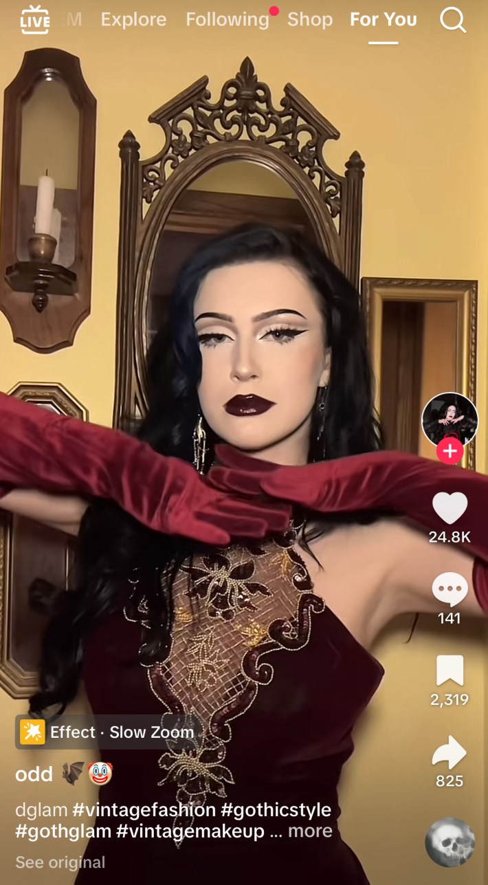 Deep Red Velvet Dress with Gold Embroidery and Gloves Deep Red Velvet Dress with Gold Embroidery and Gloves — Vampire Aesthetic Outfits