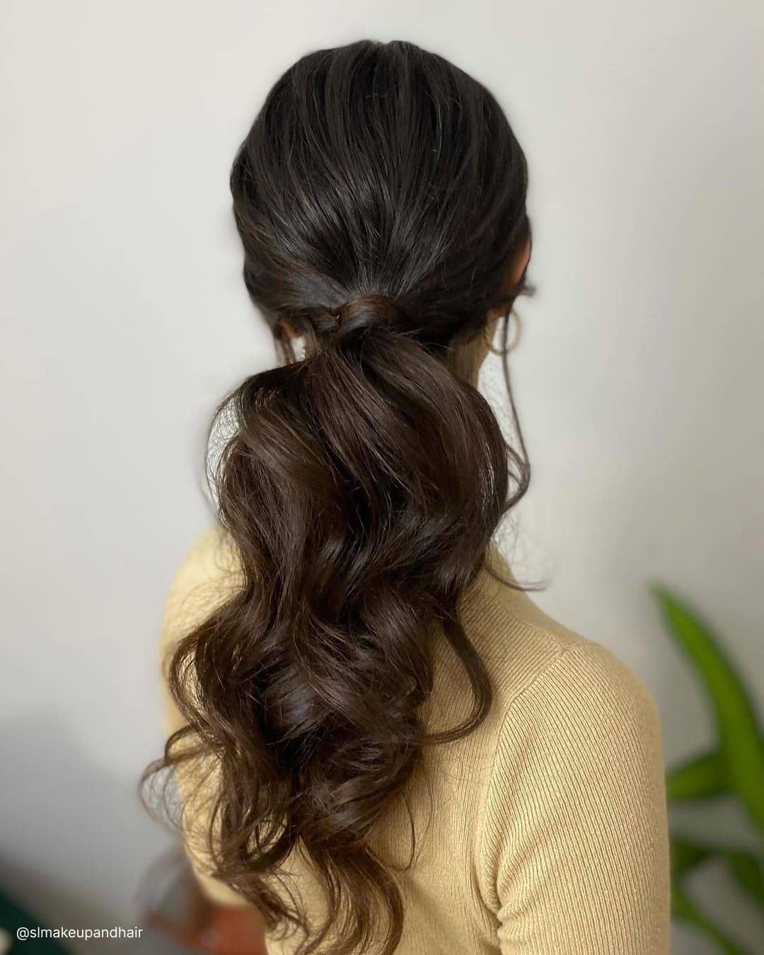 Dark Brown Visual Idea — Low Ponytail with Bow