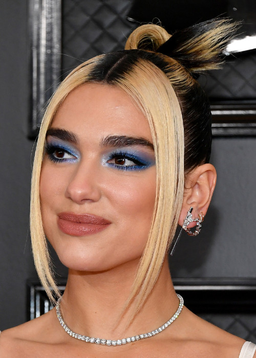 Collarbone With Face-Framing Stripe Collarbone With Face-Framing Stripe — Skunk Stripe Hair