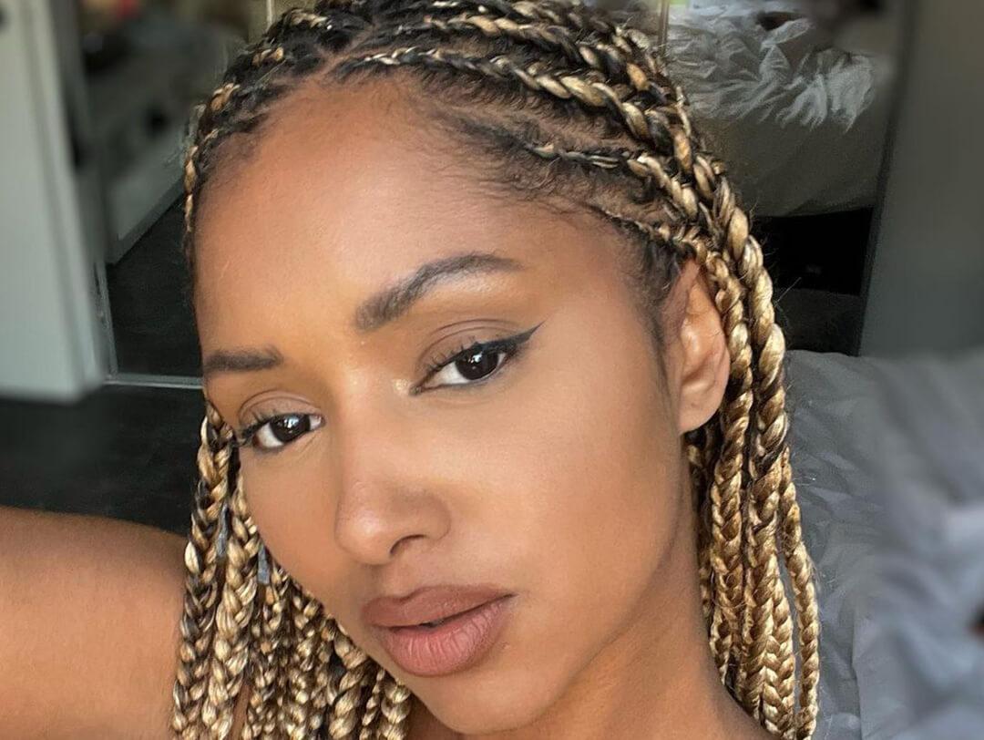 Blonde and Black Highlighted Braids — Knotless Braids