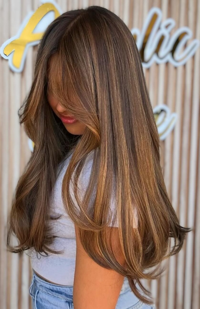 Long Dark Brown with Caramel and Honey Highlights — Honey Brown Hair