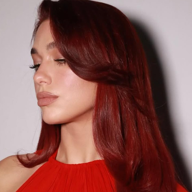 Collarbone Visual Idea — Dark Red Hair