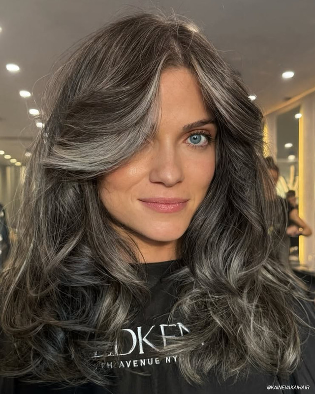 Long Gray Streaks With Curtain Bangs Long Gray Streaks With Curtain Bangs — Gray Blending