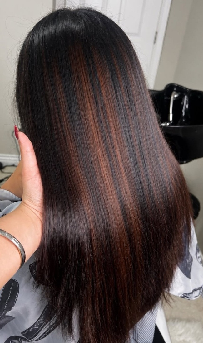 Dark Brown Sleek With Copper Highlights — Brown Highlights