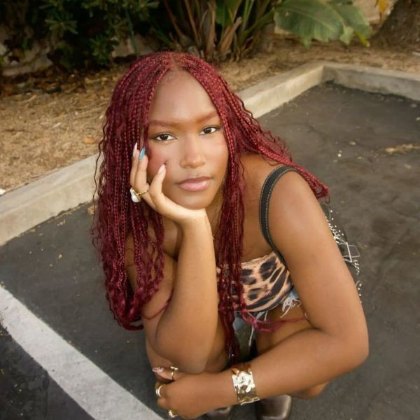 Deep Burgundy Wavy Box Braids — Burgundy Braids