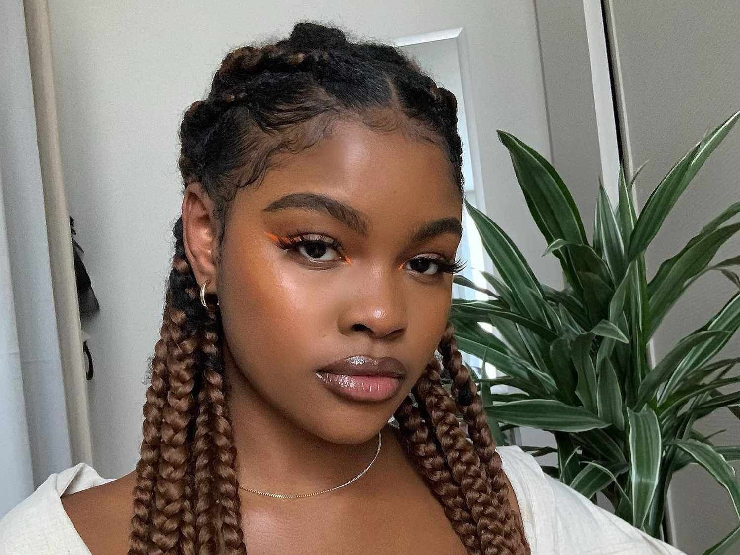 Subtle Two-Tone Brown Box Braids — Two Tone Braids