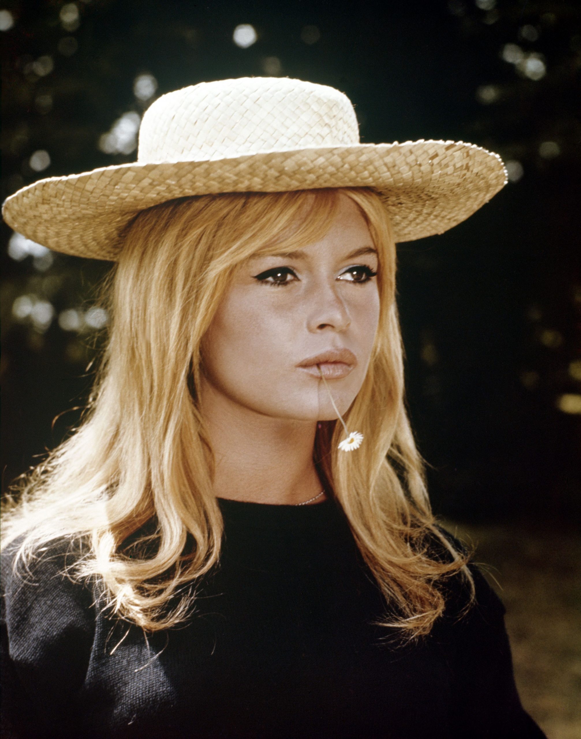 Air-Dried Waves With Curtain Bangs Air-Dried Waves With Curtain Bangs — Hat Hairstyles