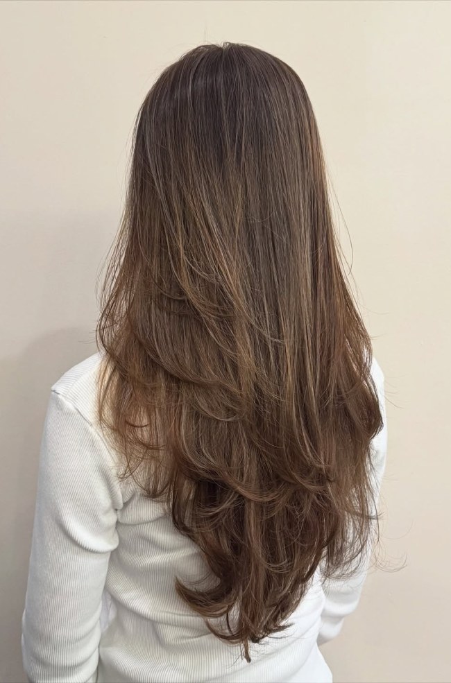 Trendy Long Layers : Honey Brown Babylights with V-Shape Long Layered Haircut
