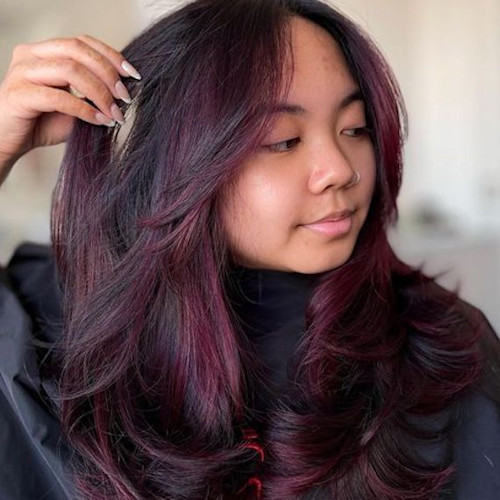 Shoulder-Length Visual Idea — Black Cherry Hair