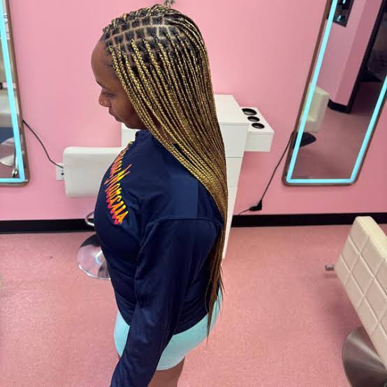 Black to Blonde Gradient Braids — Small Knotless Braids