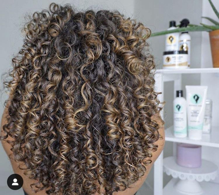 Mid-Back Defined Curls With Vibrant Highlights Mid-Back Defined Curls With Vibrant Highlights — Highlights on Curly Hair