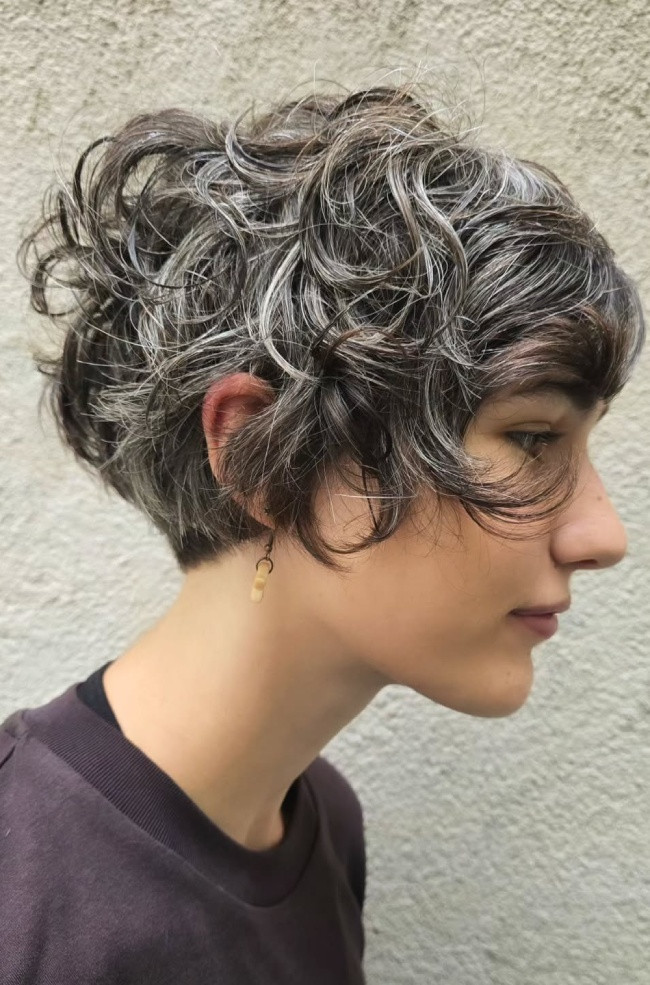 Ear Length Visual Idea Ear Length Visual Idea — Gray Curly Hair