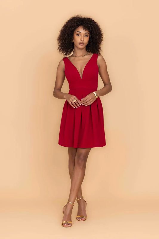 Red Sleeveless Skater Dress with Deep V-Neck for Day or Night Red Sleeveless Skater Dress with Deep V-Neck for Day or Night — Skater Dresses