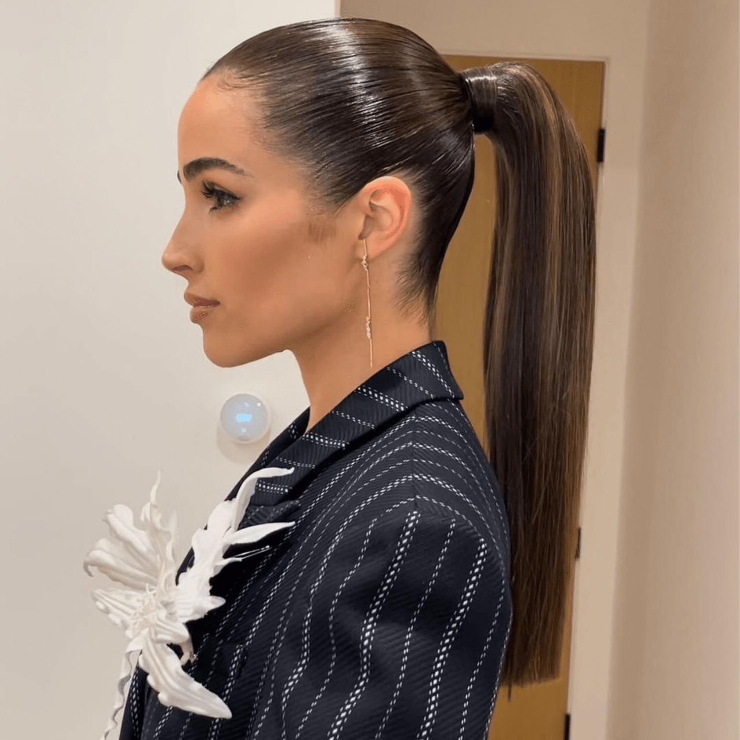 Mid-Back Dark Brown Ponytail With Subtle Highlights Mid-Back Dark Brown Ponytail With Subtle Highlights — Sleek Ponytail