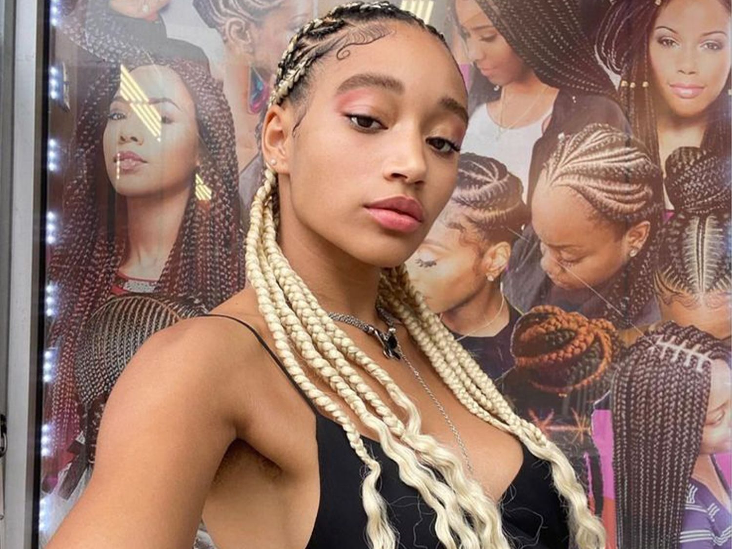 Classic Two-Tone Blonde and Black Box Braids — Two Tone Braids