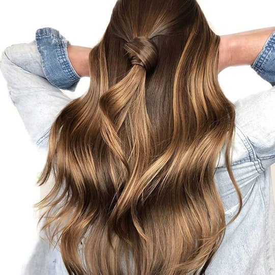 Dark Brown with Honey Blonde Contrast — Honey Brown Hair