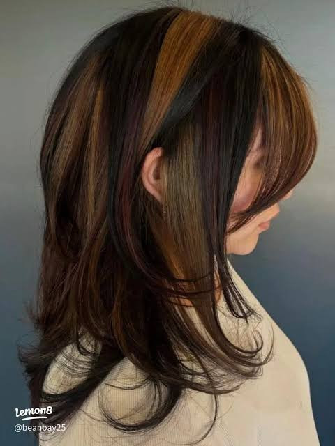 Shag With Layers Visual Idea Shag With Layers Visual Idea — Chunky Highlights