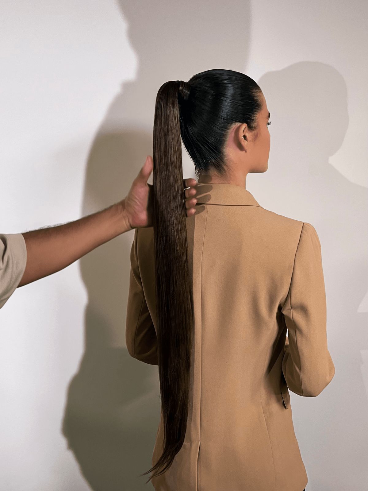 Layers Visual Idea — Ponytail with Extensions