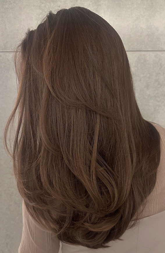 Soft Mocha Sheen With Gentle Layers — Mocha Brown Hair