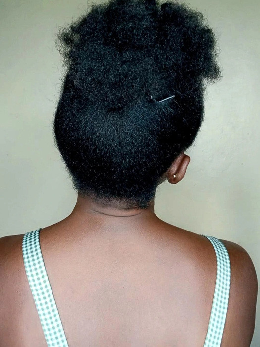 Puff Volume From The Back Puff Volume From The Back — Puff Hairstyles Natural Hair