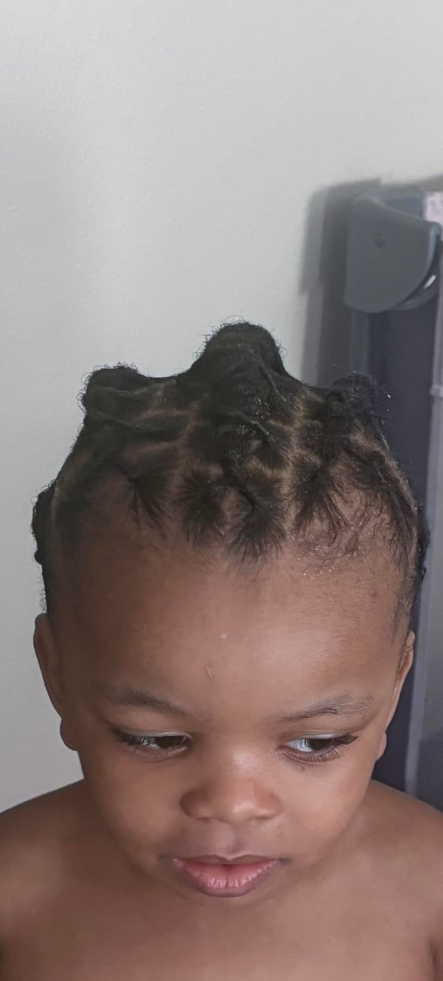 Smooth Ponytail With Coily Locs Smooth Ponytail With Coily Locs — Kids Loc Styles