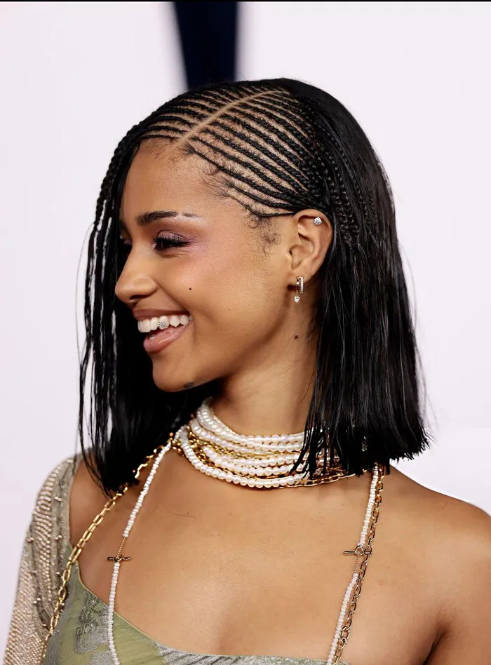 Middle Parting Visual Idea — Bob Braids