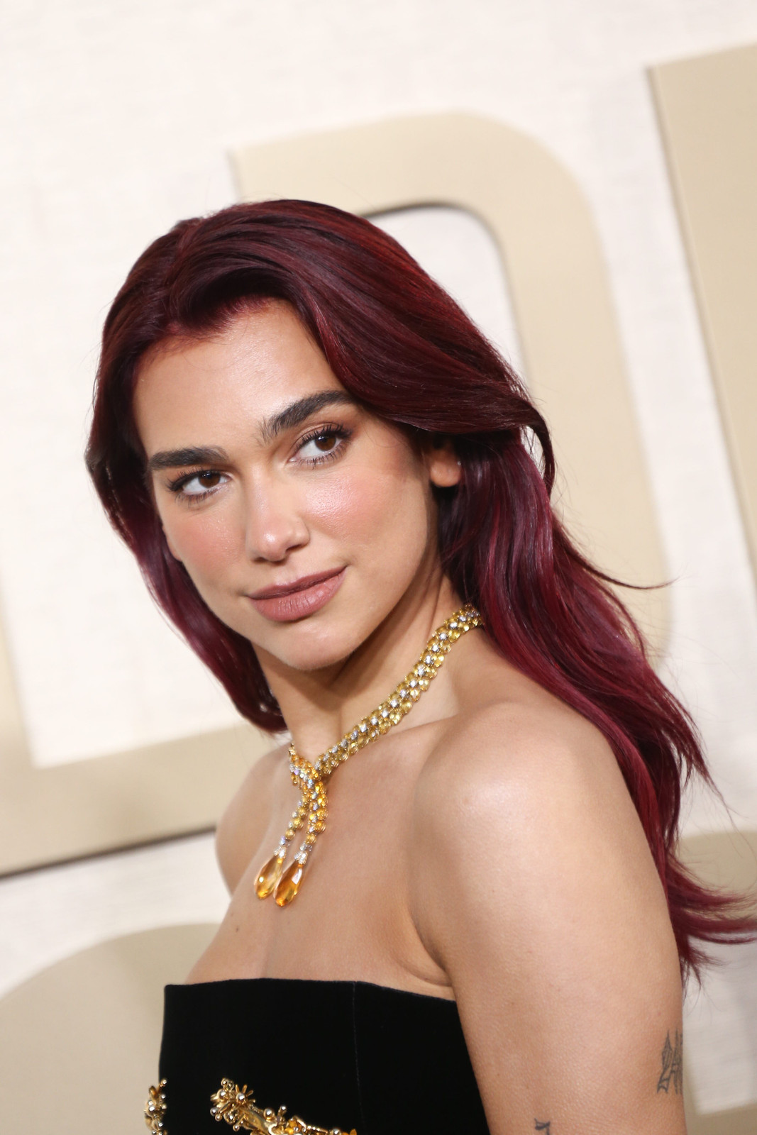 Visual Idea — Black Cherry Hair
