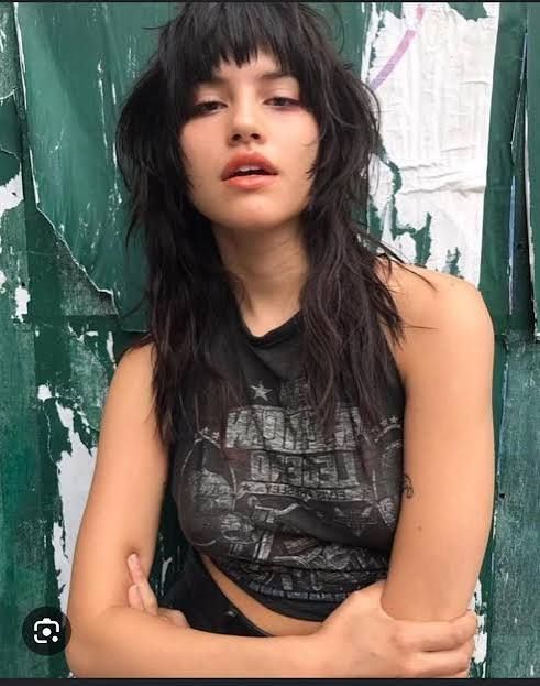 Blunt Bangs Thick Black Shoulder Wolf Cut — Wolf Cut for Straight Hair