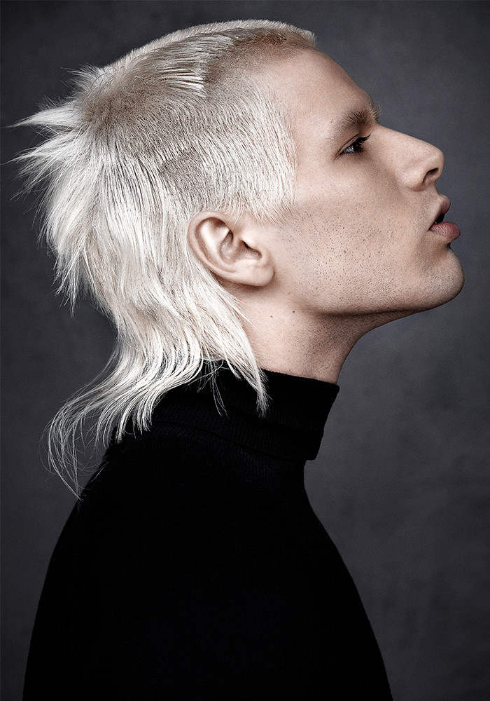 Platinum Blonde Visual Idea Platinum Blonde Visual Idea — Modern Mullet