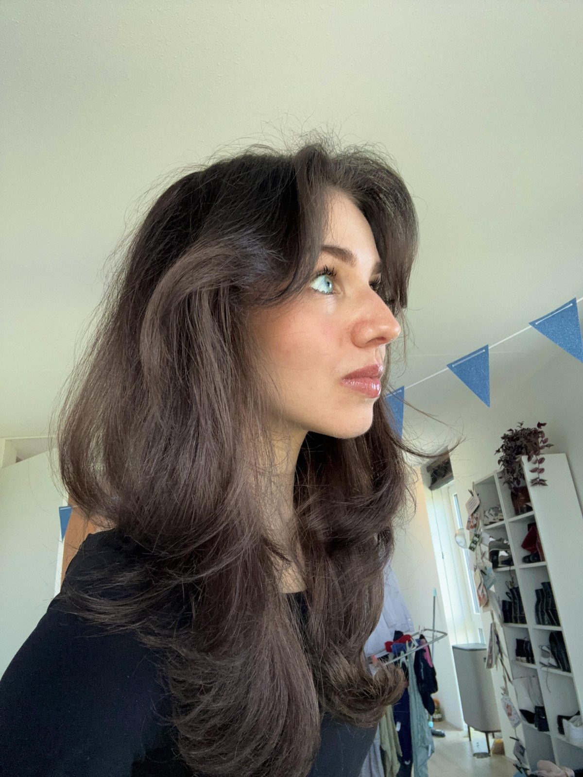 Shoulder Length Visual Idea Shoulder Length Visual Idea — Cool Brown Hair