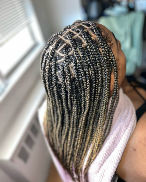Back View of Brown and Blonde Box Braids — Blonde Knotless Braids