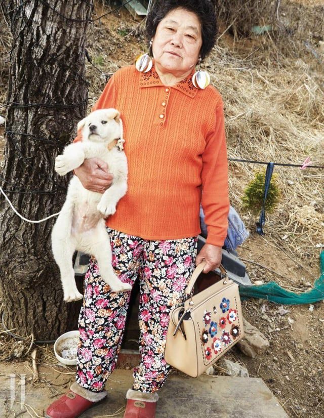 Casual Comfort: Orange Shirt with Floral Trousers — Grandma Outfits