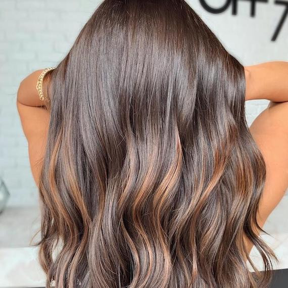 Back View Visual Idea Back View Visual Idea — Expensive Brunette