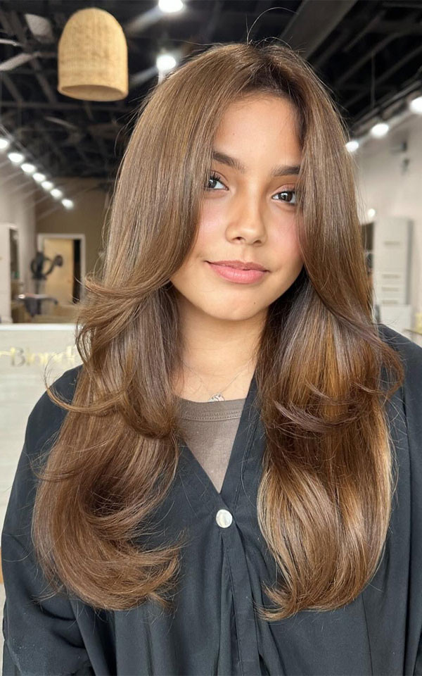 Collarbone Blowout with Honey Highlights — Honey Brown Hair