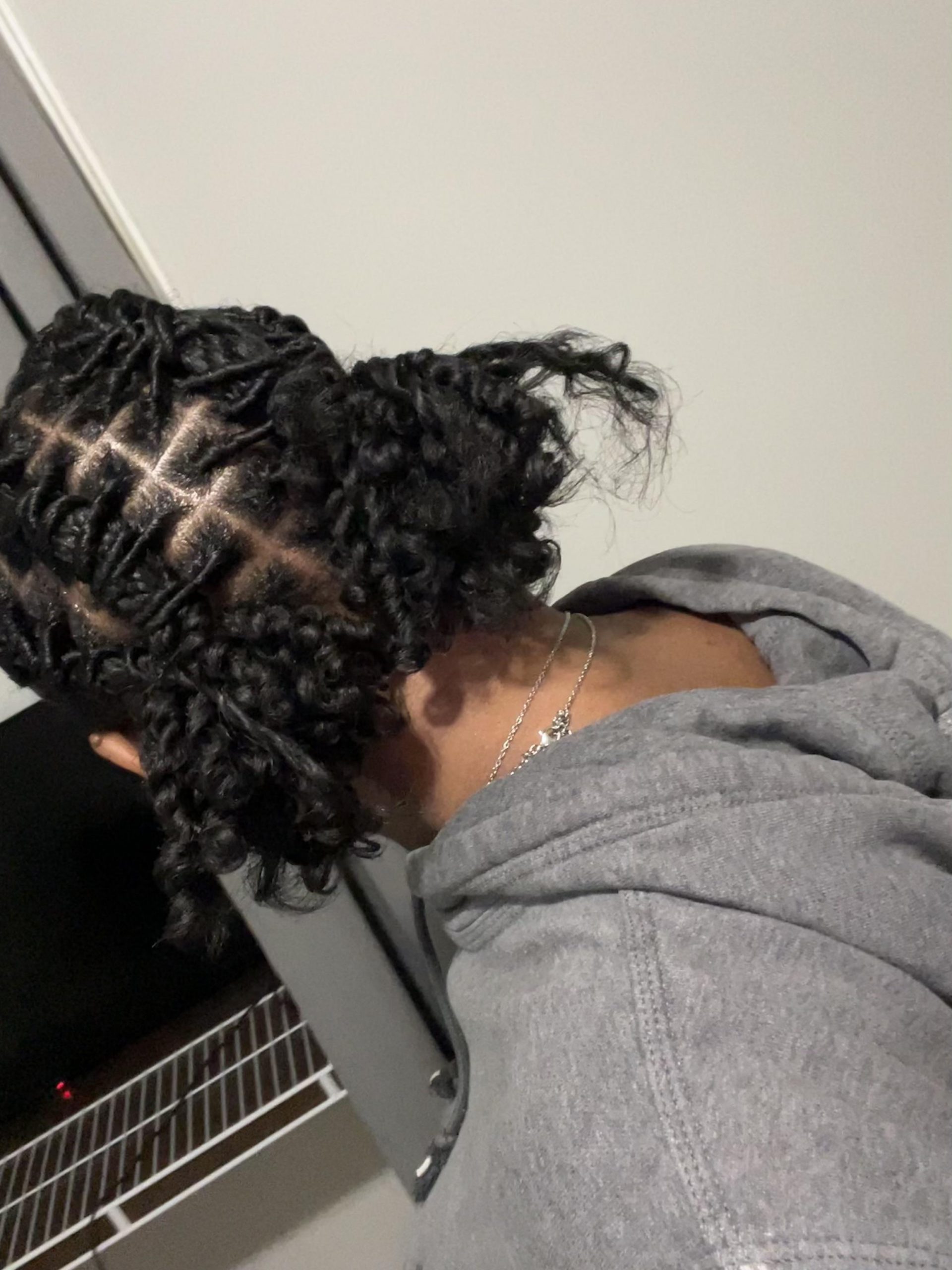 Shoulder Length Braided Locs With Grid — Starter Locs