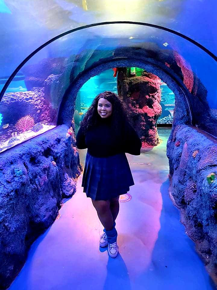 Plaid Mini Skirt and Long-Sleeve Top for an Aquarium Tunnel View — Aquarium Outfits