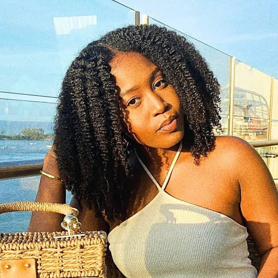 Volume With Defined Coils — Braid Out