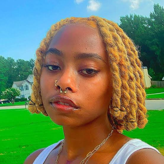 Ear-to-Chin Honey Blonde Wavy Locs Ear-to-Chin Honey Blonde Wavy Locs — Soft Locs Bob