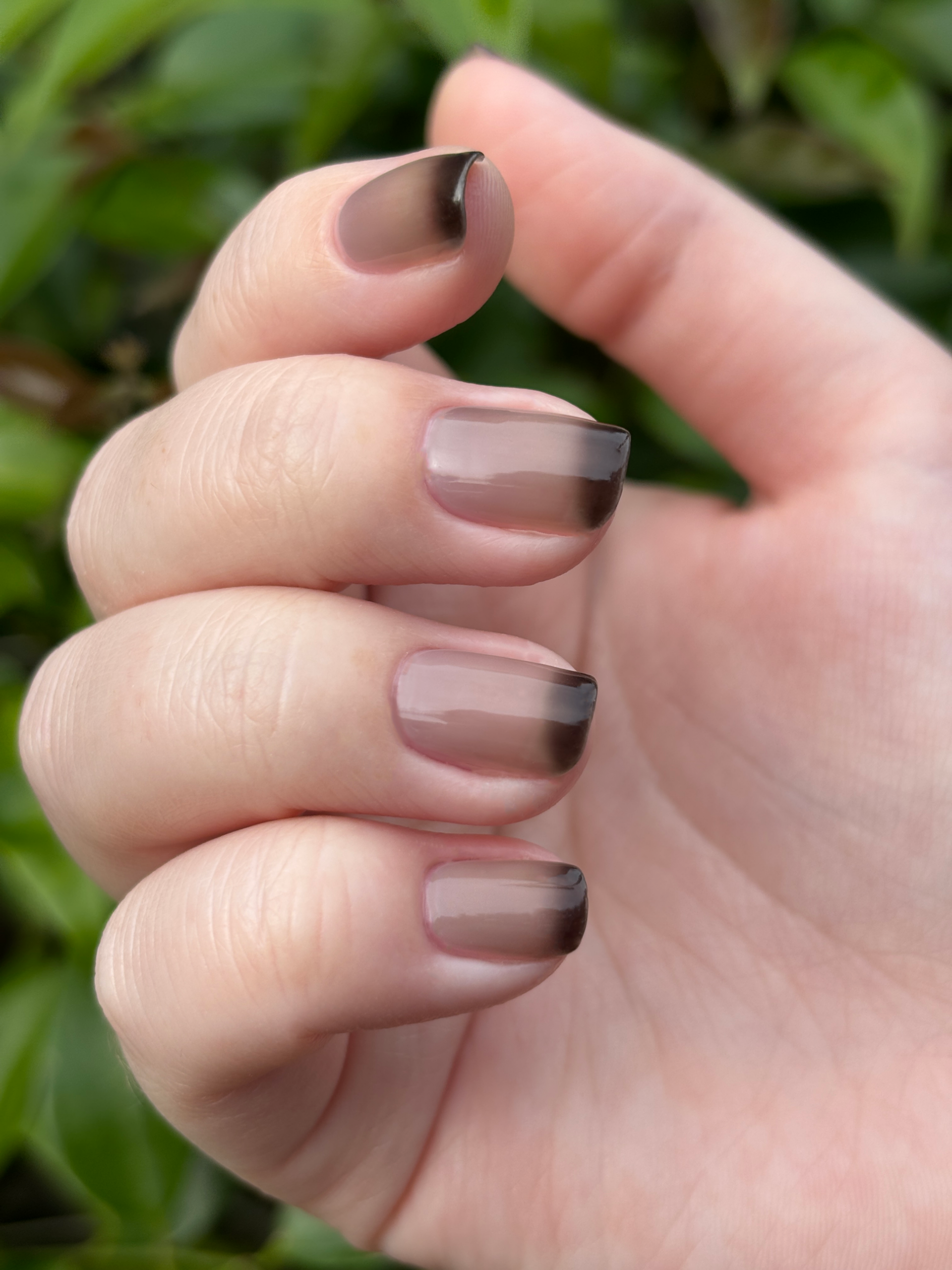 Milky Clear to Black Squoval Gradient Milky Clear to Black Squoval Gradient — Thermal Nails