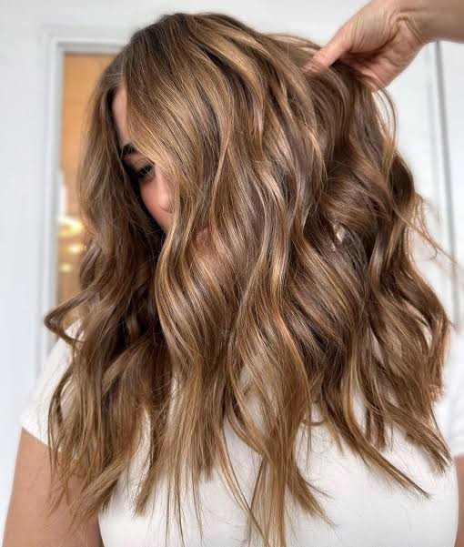 Shoulder Visual Idea Shoulder Visual Idea — Honey Highlights