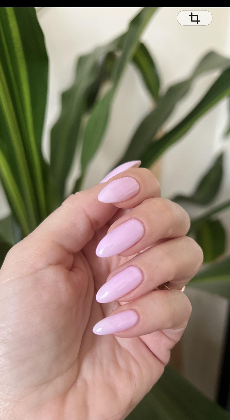 Opaque Pastel Pink Medium Almond Opaque Pastel Pink Medium Almond — Shellac Nails