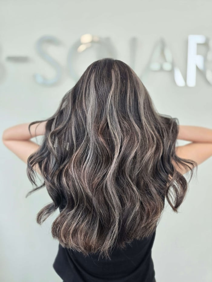 Dark Brown With Ash Blonde and Grey Highlights Dark Brown With Ash Blonde and Grey Highlights