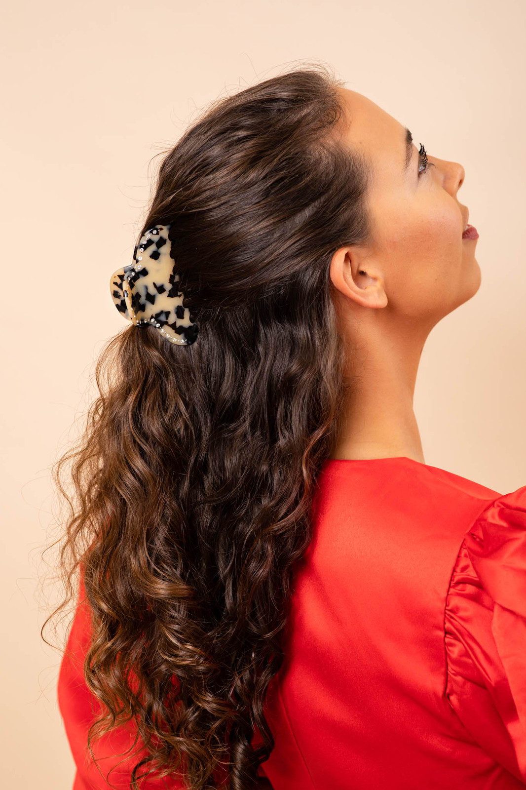 Curly Half-Up With Tortoiseshell Clip Curly Half-Up With Tortoiseshell Clip — Butterfly Clip Hairstyles
