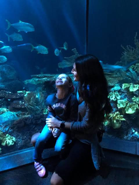 Casual Sweatshirt and Jeans for an Immersive Aquarium Experience — Aquarium Outfits