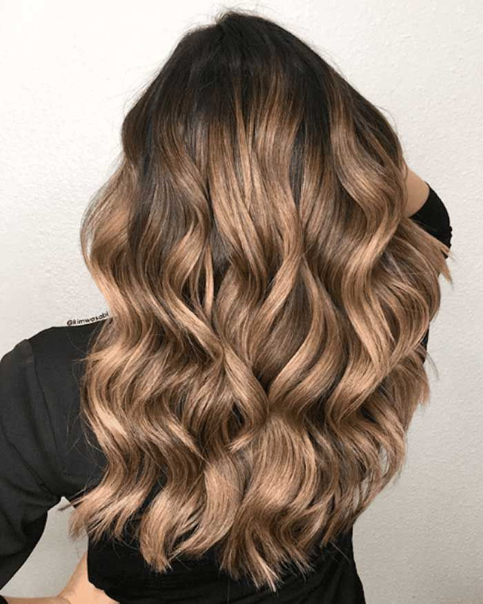 Back View Visual Idea Back View Visual Idea — Highlights on Brown Hair