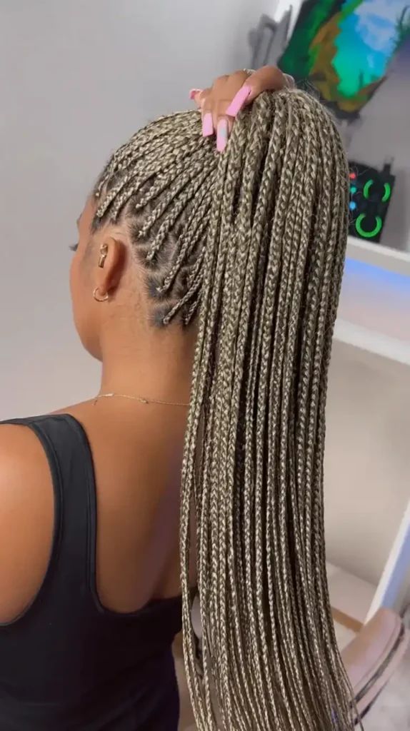 Numerous Small Blonde Braids — Braided High Ponytail