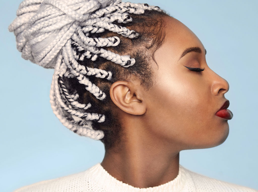 Silver and Black Braided Updo Silver and Black Braided Updo — Braided Hairstyles
