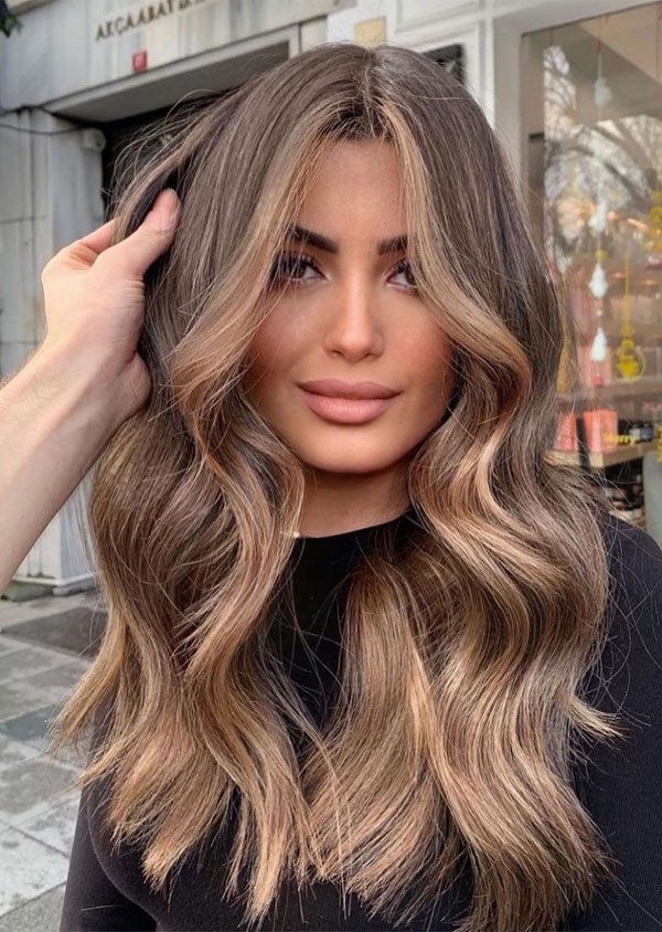 Front View Visual Idea — Bronde Hair