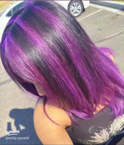 Strategic Vibrant Purple Highlights on Long Black Hair Strategic Vibrant Purple Highlights on Long Black Hair — Purple Highlights on Black Hair