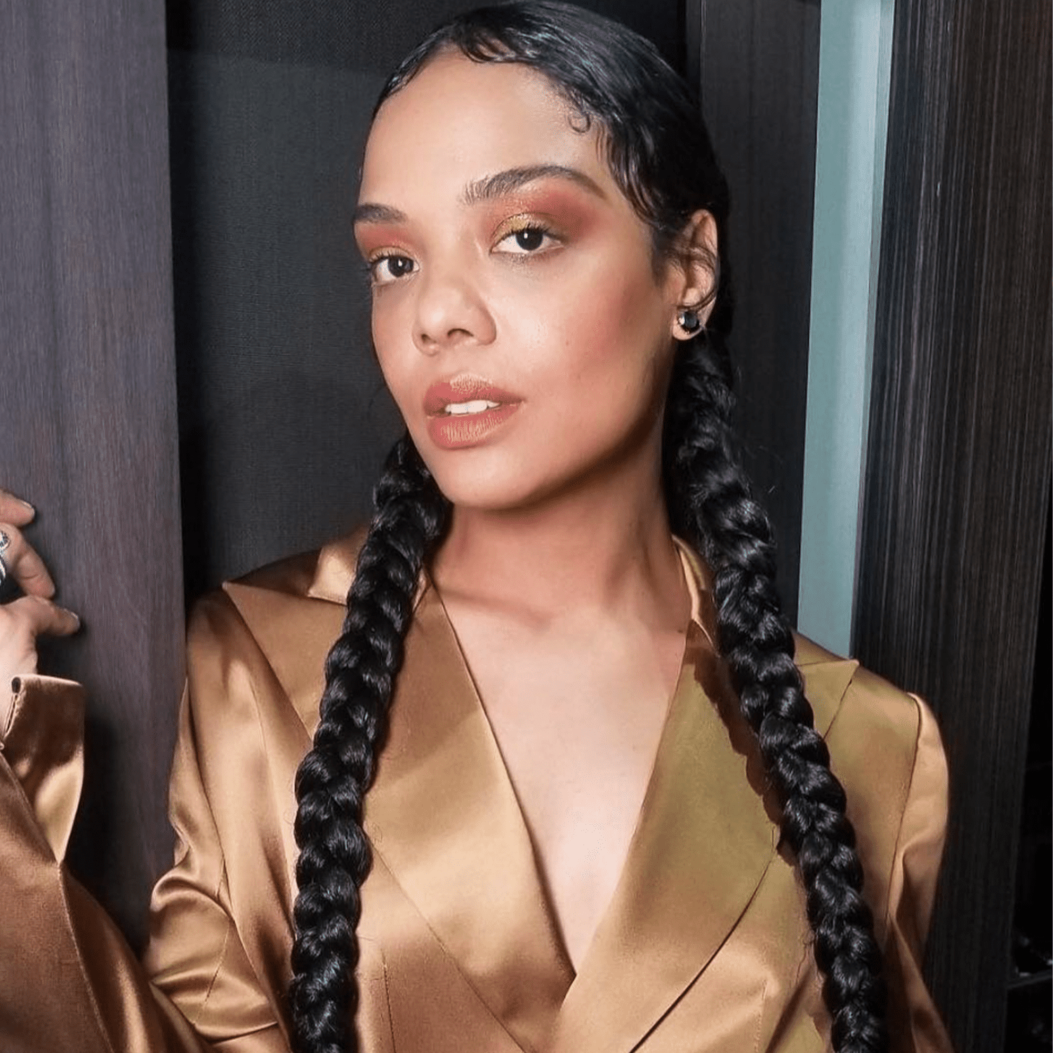Cornrow Details With Black Braids — Two Braids